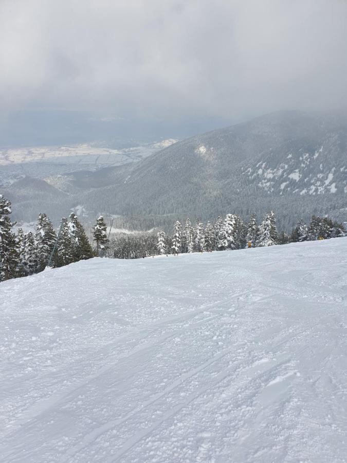 Spacious And Cosy Apartment In Bansko Royal Towers Complex Luaran gambar